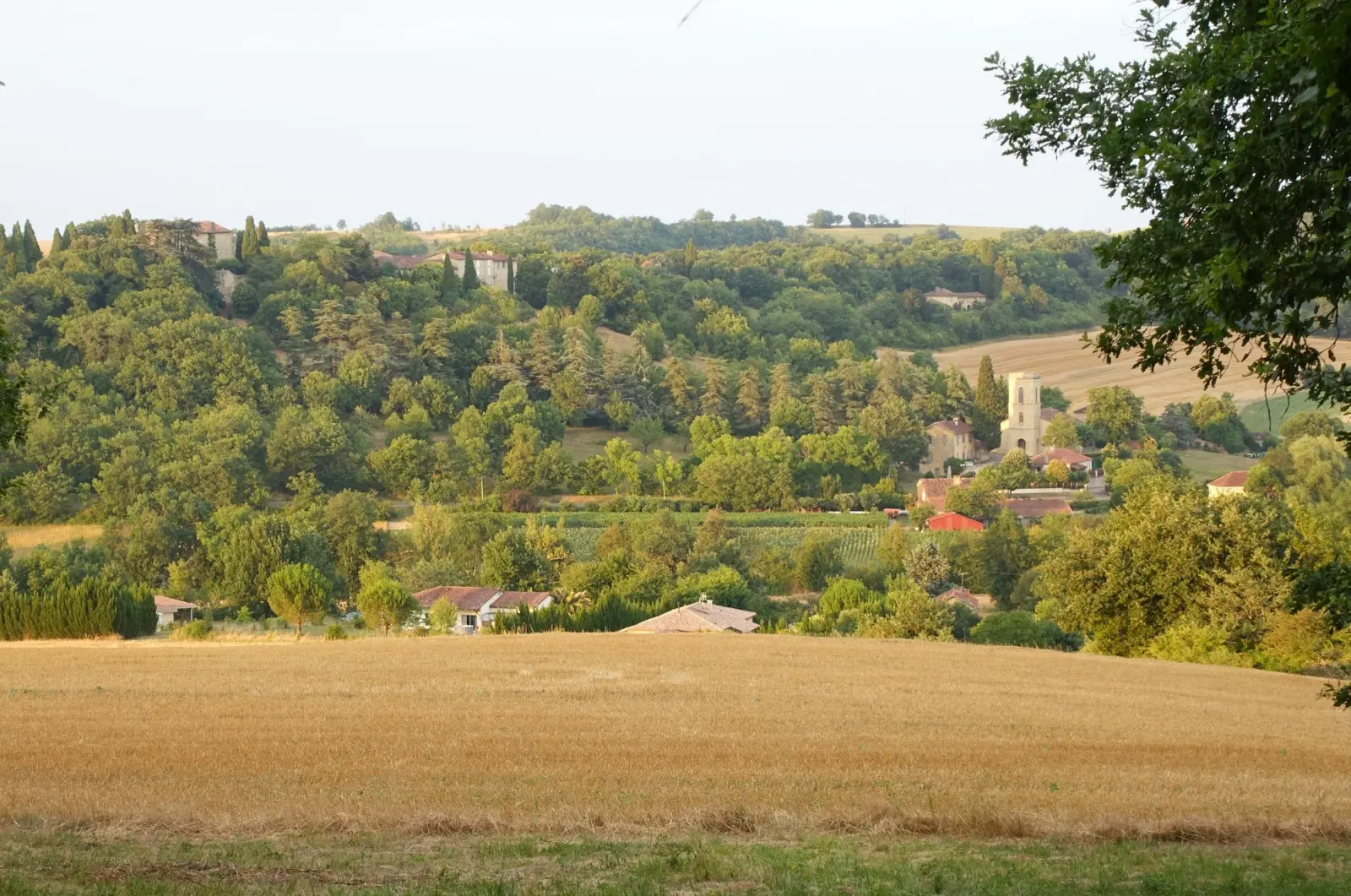 A small village among trees on a hillside, seen across a harvested field in evening light